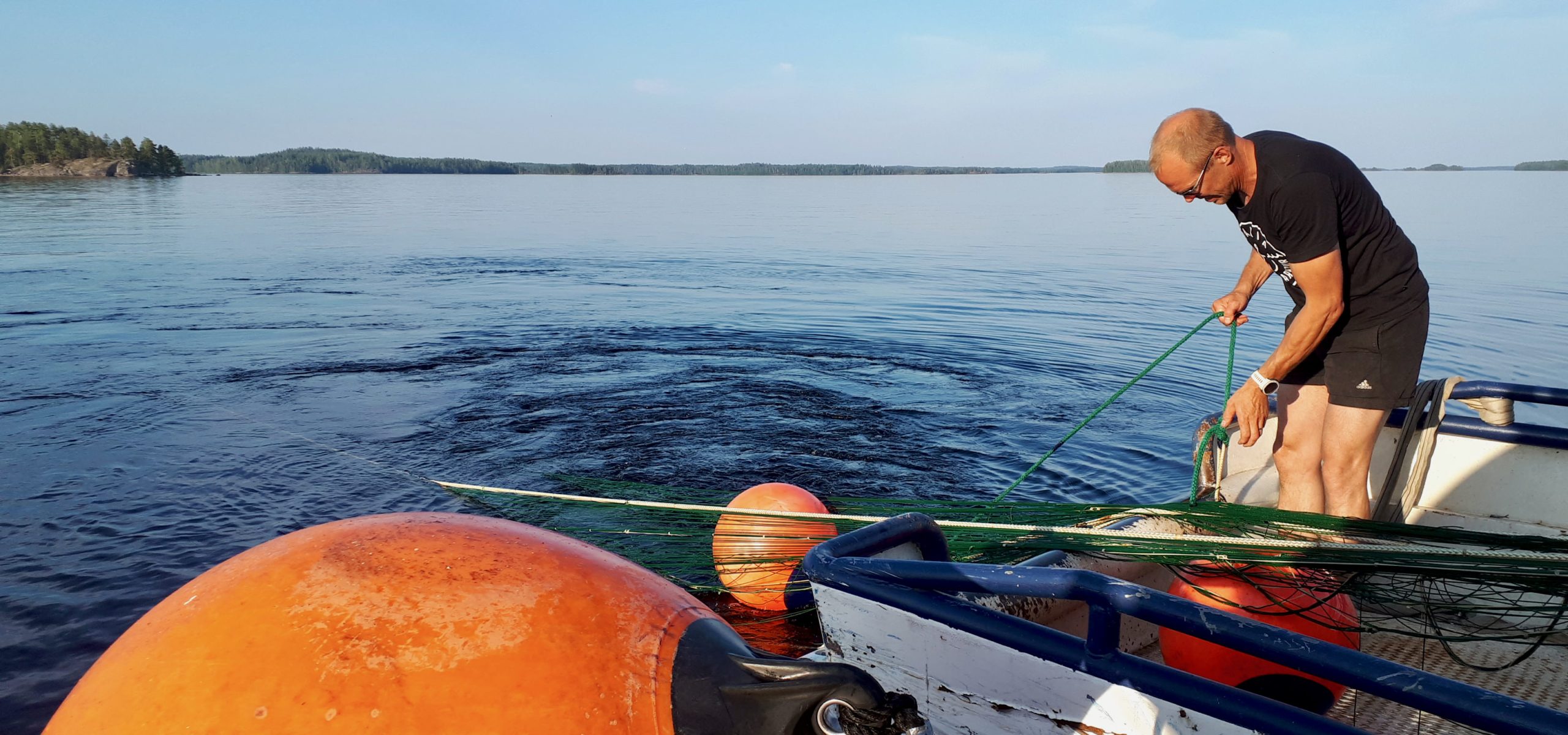 muikun trooliristeily Puumalassa